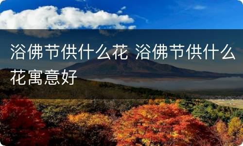 浴佛节供什么花 浴佛节供什么花寓意好