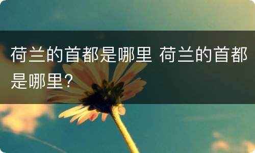 荷兰的首都是哪里 荷兰的首都是哪里?