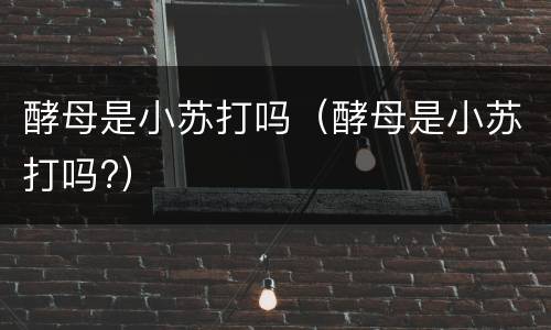 酵母是小苏打吗（酵母是小苏打吗?）