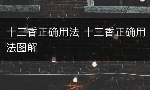 十三香正确用法 十三香正确用法图解