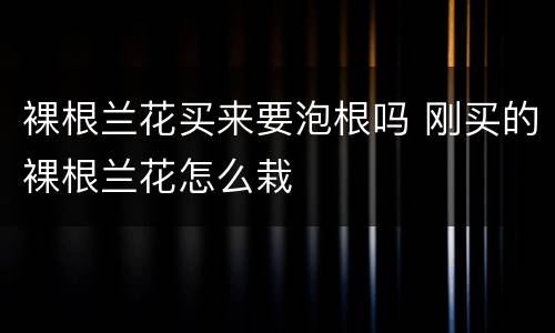 裸根兰花买来要泡根吗 刚买的裸根兰花怎么栽