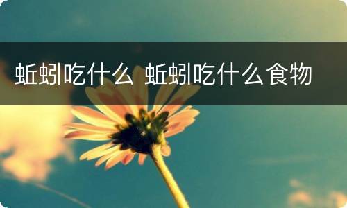 蚯蚓吃什么 蚯蚓吃什么食物