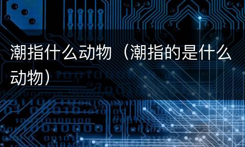 潮指什么动物（潮指的是什么动物）