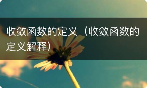 收敛函数的定义（收敛函数的定义解释）