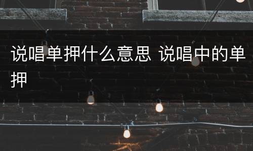 说唱单押什么意思 说唱中的单押