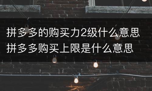 拼多多的购买力2级什么意思 拼多多购买上限是什么意思