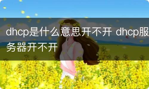 dhcp是什么意思开不开 dhcp服务器开不开