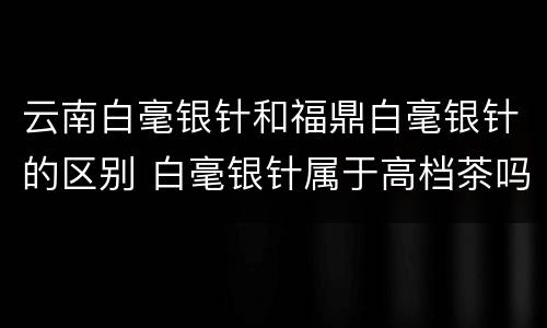 云南白毫银针和福鼎白毫银针的区别 白毫银针属于高档茶吗