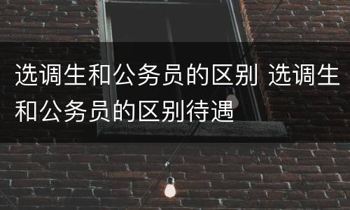 选调生和公务员的区别 选调生和公务员的区别待遇