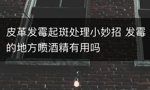 皮革发霉起斑处理小妙招 发霉的地方喷酒精有用吗