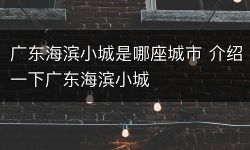 广东海滨小城是哪座城市 介绍一下广东海滨小城