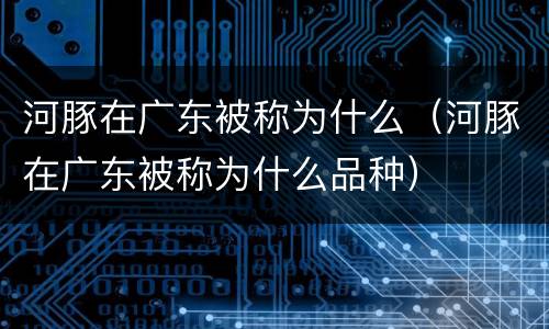 河豚在广东被称为什么（河豚在广东被称为什么品种）