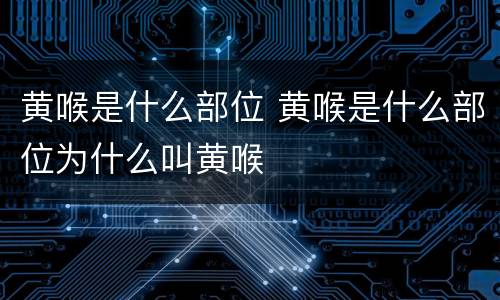 黄喉是什么部位 黄喉是什么部位为什么叫黄喉