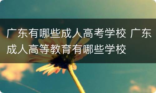 广东有哪些成人高考学校 广东成人高等教育有哪些学校