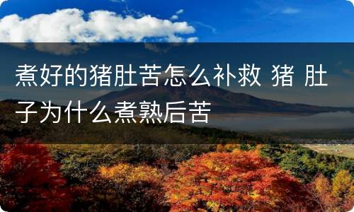 煮好的猪肚苦怎么补救 猪 肚子为什么煮熟后苦