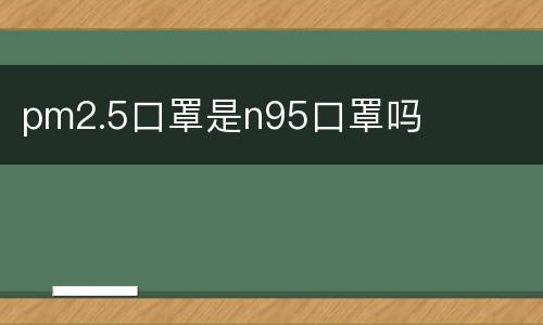 pm2.5口罩是n95口罩吗