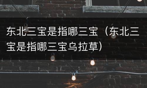 东北三宝是指哪三宝（东北三宝是指哪三宝乌拉草）