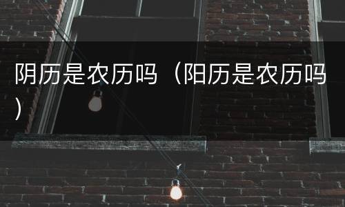 阴历是农历吗（阳历是农历吗）