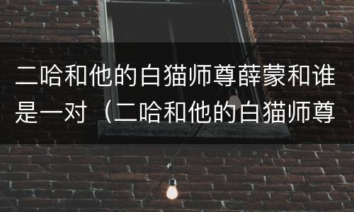 二哈和他的白猫师尊薛蒙和谁是一对（二哈和他的白猫师尊薛蒙和谁是一对cp）