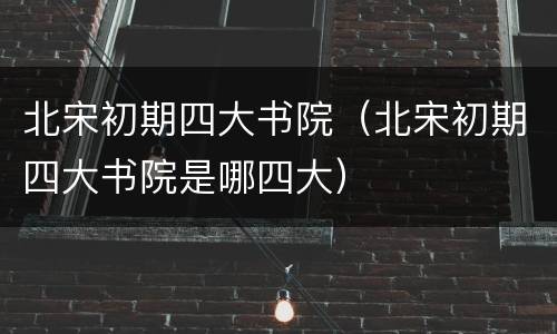 北宋初期四大书院（北宋初期四大书院是哪四大）