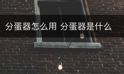 分蛋器怎么用 分蛋器是什么