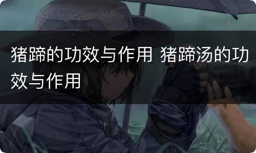 猪蹄的功效与作用 猪蹄汤的功效与作用