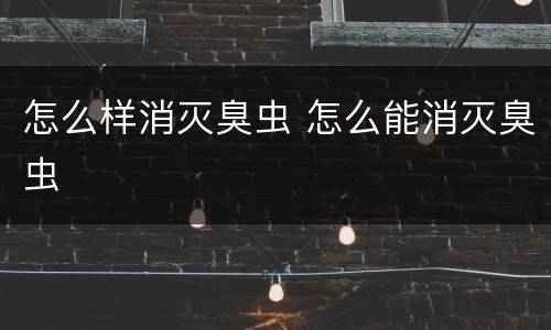 怎么样消灭臭虫 怎么能消灭臭虫