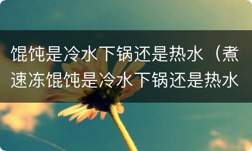 馄饨是冷水下锅还是热水（煮速冻馄饨是冷水下锅还是热水）