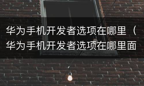 华为手机开发者选项在哪里（华为手机开发者选项在哪里面）