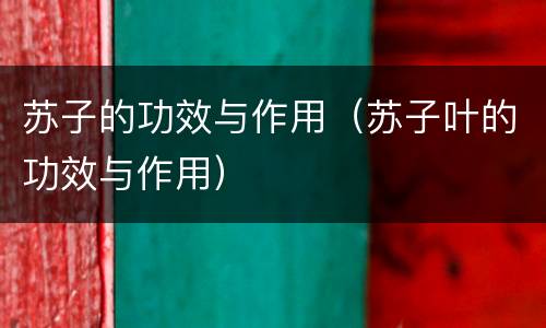 苏子的功效与作用（苏子叶的功效与作用）