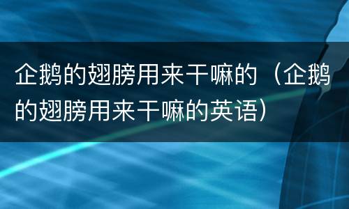 企鹅的翅膀用来干嘛的（企鹅的翅膀用来干嘛的英语）