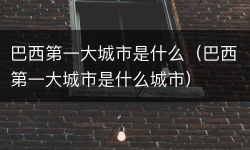 巴西第一大城市是什么（巴西第一大城市是什么城市）