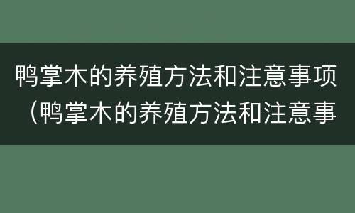 鸭掌木的养殖方法和注意事项（鸭掌木的养殖方法和注意事项能扦插吗）