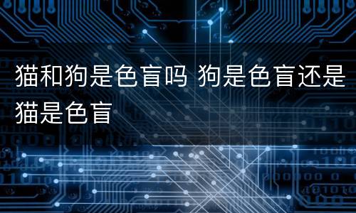 猫和狗是色盲吗 狗是色盲还是猫是色盲