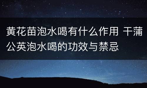 黄花苗泡水喝有什么作用 干蒲公英泡水喝的功效与禁忌
