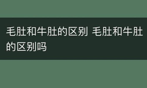 毛肚和牛肚的区别 毛肚和牛肚的区别吗