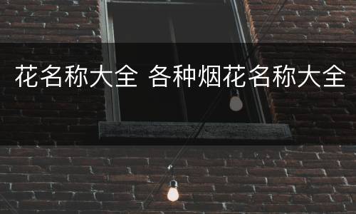 花名称大全 各种烟花名称大全