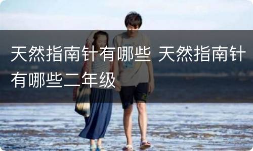 天然指南针有哪些 天然指南针有哪些二年级