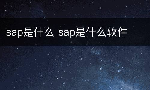 sap是什么 sap是什么软件