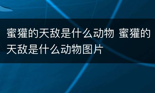 蜜獾的天敌是什么动物 蜜獾的天敌是什么动物图片