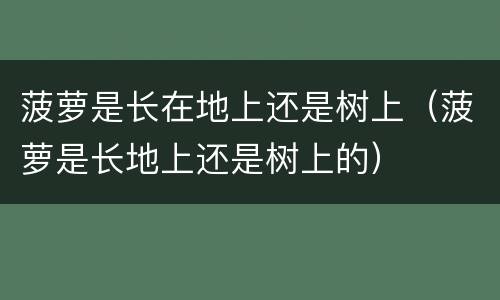 菠萝是长在地上还是树上（菠萝是长地上还是树上的）