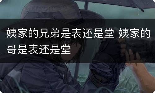 姨家的兄弟是表还是堂 姨家的哥是表还是堂