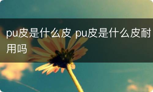 pu皮是什么皮 pu皮是什么皮耐用吗