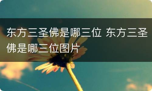 东方三圣佛是哪三位 东方三圣佛是哪三位图片
