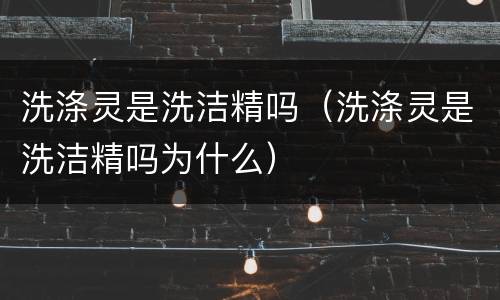 洗涤灵是洗洁精吗（洗涤灵是洗洁精吗为什么）