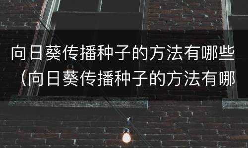向日葵传播种子的方法有哪些（向日葵传播种子的方法有哪些种类）
