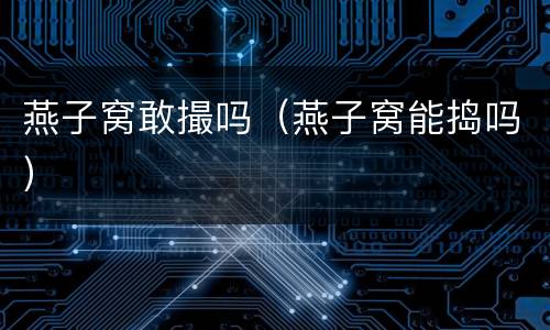 燕子窝敢撮吗（燕子窝能捣吗）