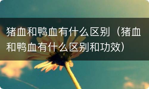 猪血和鸭血有什么区别（猪血和鸭血有什么区别和功效）