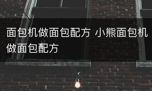 面包机做面包配方 小熊面包机做面包配方
