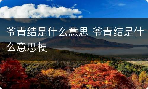 爷青结是什么意思 爷青结是什么意思梗